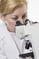 Doctor Looking Into Microscope